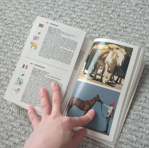 Horses/Ponies Of The World - Picture 5 of 6